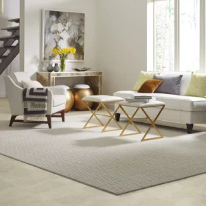 Area rug | Carpeteria