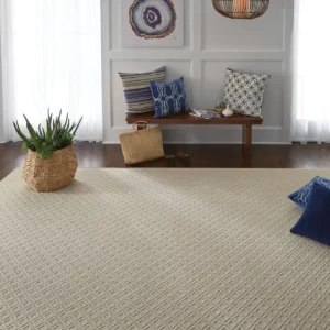 Area rug | Carpeteria